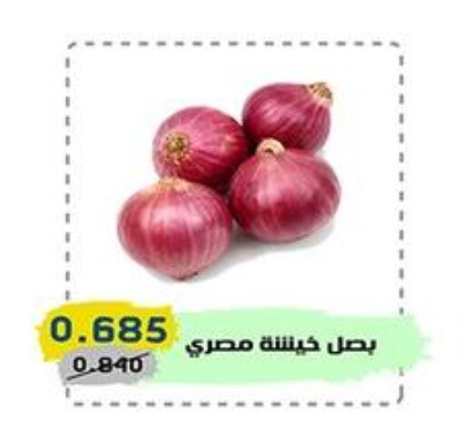  Onion  in السوق المركزي للعاملين بوزارة الداخلية in الكويت - مدينة الكويت
