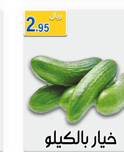  Cucumber  in Jawharat Almajd in KSA, Saudi Arabia, Saudi - Abha