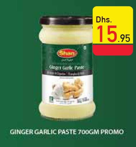 SHAN Garlic Paste  in Safeer Hyper Markets in UAE - Umm al Quwain