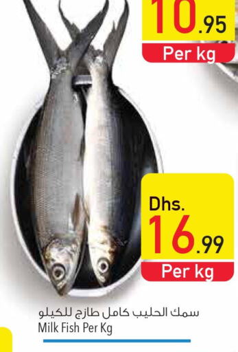  King Fish  in Safeer Hyper Markets in UAE - Sharjah / Ajman