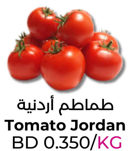  Tomato  in Ruyan Market in Bahrain