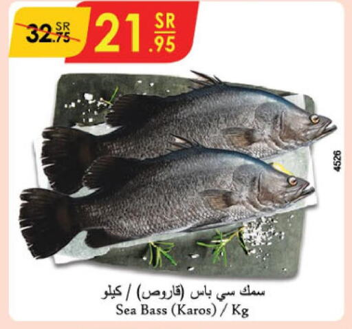  King Fish  in Danube in KSA, Saudi Arabia, Saudi - Al Khobar
