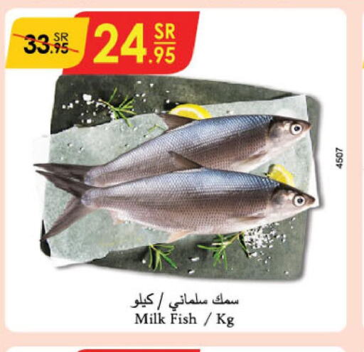  King Fish  in الدانوب in مملكة العربية السعودية, السعودية, سعودية - الطائف