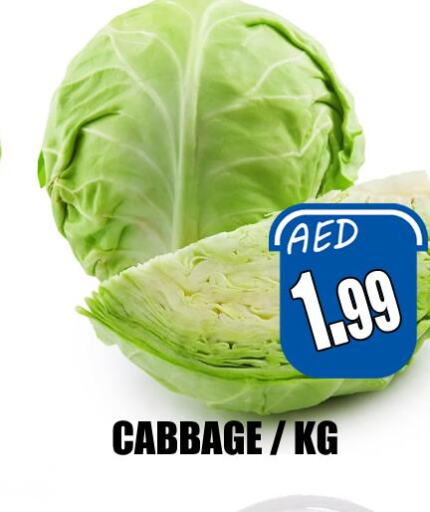  Cabbage  in هايبرماركت مجستك بلس in الإمارات العربية المتحدة , الامارات - أبو ظبي
