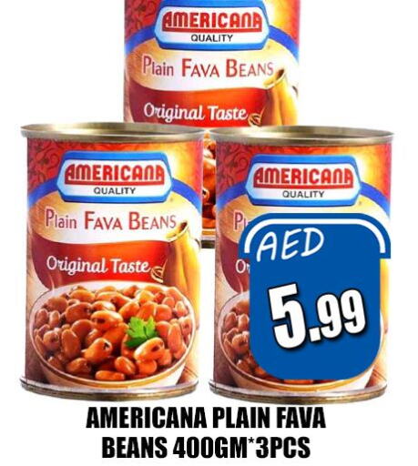 AMERICANA Fava Beans  in هايبرماركت مجستك بلس in الإمارات العربية المتحدة , الامارات - أبو ظبي