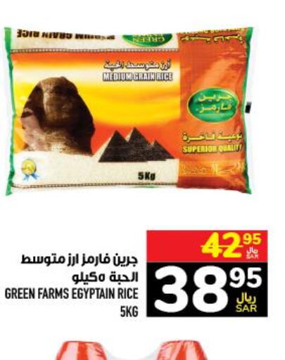 HALEY Egyptian / Calrose Rice  in Abraj Hypermarket in KSA, Saudi Arabia, Saudi - Mecca