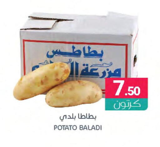  Potato  in اسواق المنتزه in مملكة العربية السعودية, السعودية, سعودية - المنطقة الشرقية