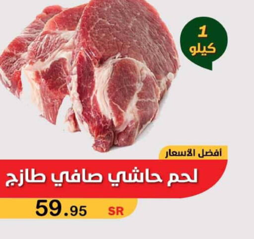  Camel meat  in Smart Shopper in KSA, Saudi Arabia, Saudi - Jazan
