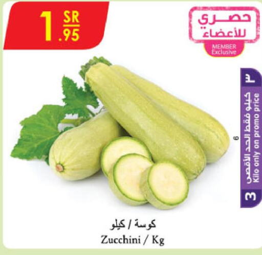  Zucchini  in Danube in KSA, Saudi Arabia, Saudi - Jazan