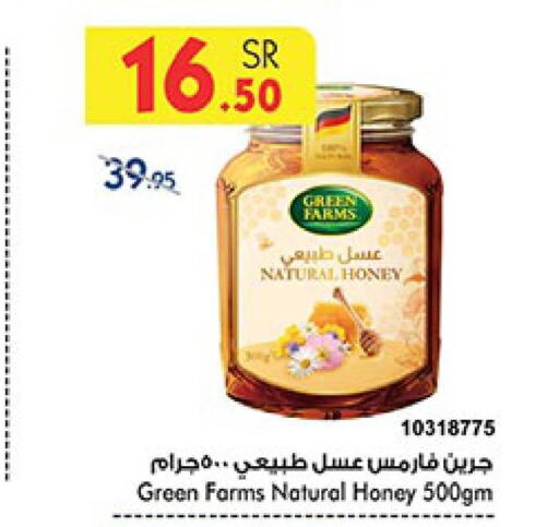  Honey  in Bin Dawood in KSA, Saudi Arabia, Saudi - Jeddah