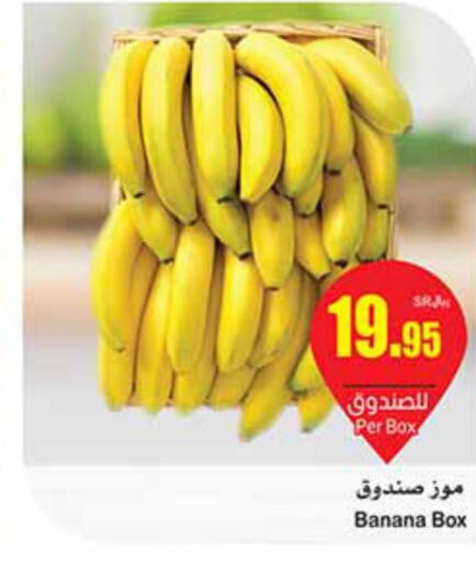  Banana  in Othaim Markets in KSA, Saudi Arabia, Saudi - Buraidah