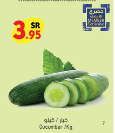  Cucumber  in بن داود in مملكة العربية السعودية, السعودية, سعودية - جدة
