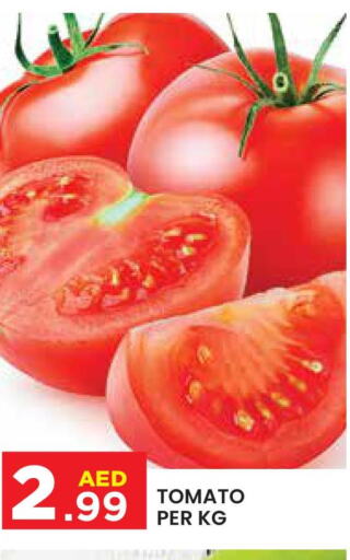  Tomato  in Baniyas Spike  in UAE - Abu Dhabi