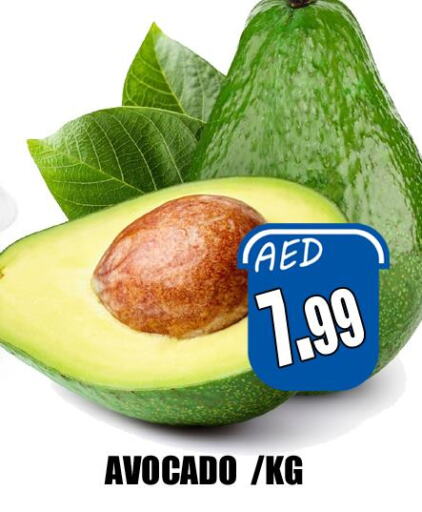  Avacado  in Majestic Plus Hypermarket in UAE - Abu Dhabi