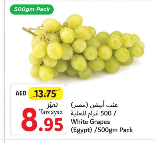  Grapes  in تعاونية الاتحاد in الإمارات العربية المتحدة , الامارات - الشارقة / عجمان