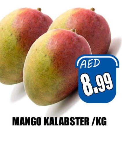 Mango Mango  in هايبرماركت مجستك بلس in الإمارات العربية المتحدة , الامارات - أبو ظبي