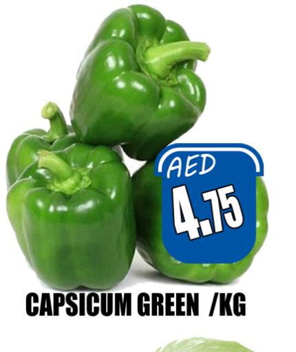  Chilli / Capsicum  in هايبرماركت مجستك بلس in الإمارات العربية المتحدة , الامارات - أبو ظبي