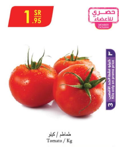  Tomato  in Danube in KSA, Saudi Arabia, Saudi - Khamis Mushait