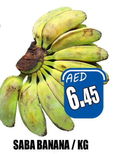  Banana  in هايبرماركت مجستك بلس in الإمارات العربية المتحدة , الامارات - أبو ظبي