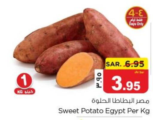  Sweet Potato  in نستو in مملكة العربية السعودية, السعودية, سعودية - المنطقة الشرقية