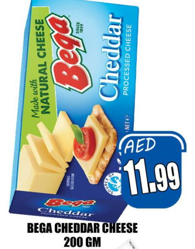  Cheddar Cheese  in هايبرماركت مجستك بلس in الإمارات العربية المتحدة , الامارات - أبو ظبي