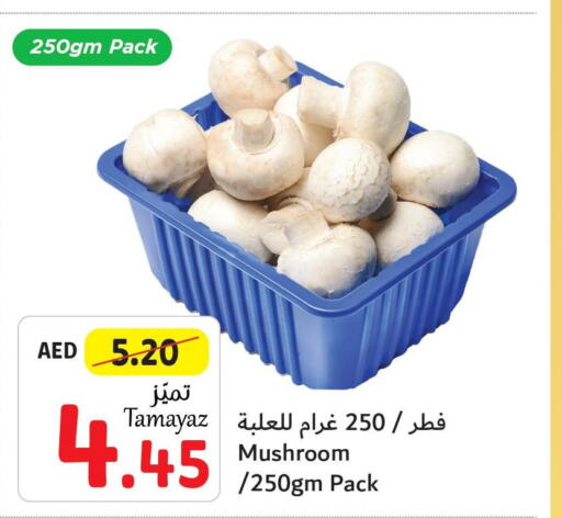  Mushroom  in تعاونية الاتحاد in الإمارات العربية المتحدة , الامارات - الشارقة / عجمان