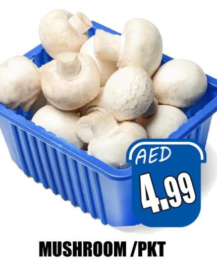  Mushroom  in Majestic Plus Hypermarket in UAE - Abu Dhabi