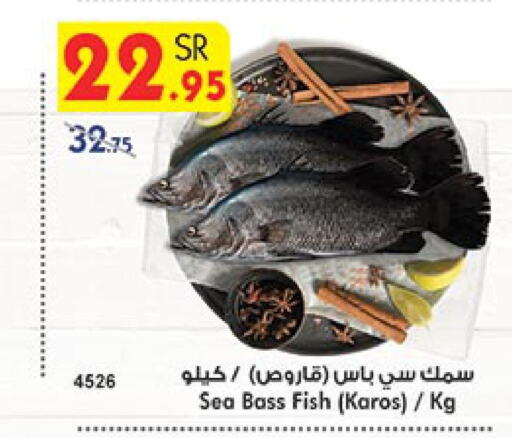  King Fish  in Bin Dawood in KSA, Saudi Arabia, Saudi - Khamis Mushait