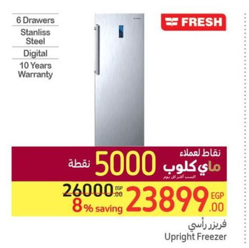 FRESH Freezer  in Carrefour  in Egypt - Cairo