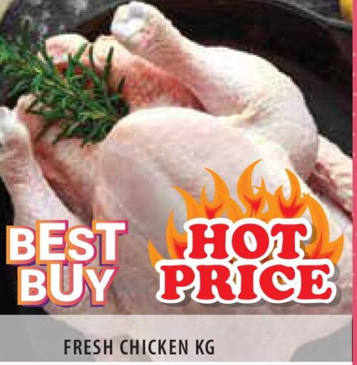  Fresh Chicken  in سنابل بني ياس in الإمارات العربية المتحدة , الامارات - أبو ظبي