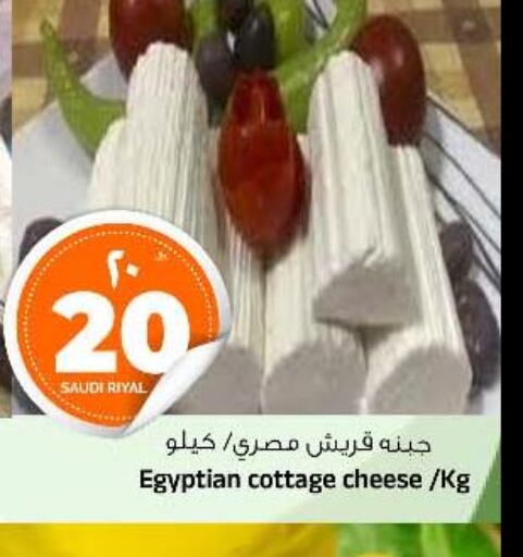  Cottage Cheese  in المدينة هايبرماركت in مملكة العربية السعودية, السعودية, سعودية - الرياض