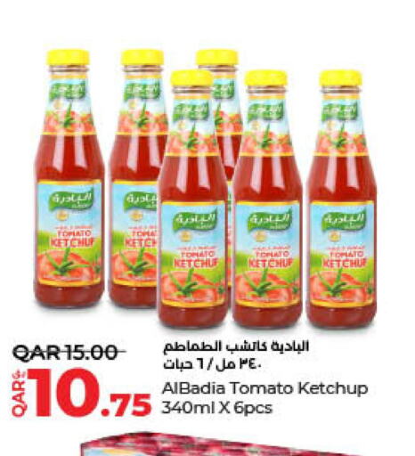  Tomato Ketchup  in لولو هايبرماركت in قطر - الشحانية