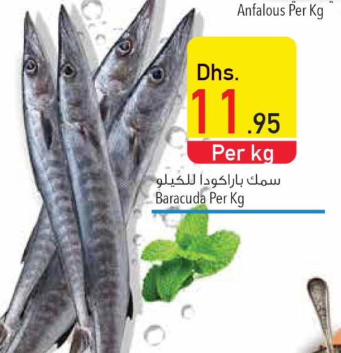  King Fish  in السفير هايبر ماركت in الإمارات العربية المتحدة , الامارات - ٱلْعَيْن‎