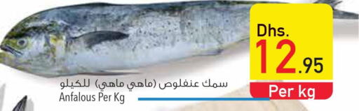  King Fish  in السفير هايبر ماركت in الإمارات العربية المتحدة , الامارات - أم القيوين‎