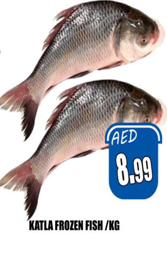  King Fish  in Majestic Plus Hypermarket in UAE - Abu Dhabi