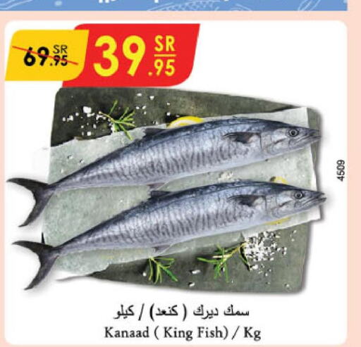  King Fish  in الدانوب in مملكة العربية السعودية, السعودية, سعودية - تبوك