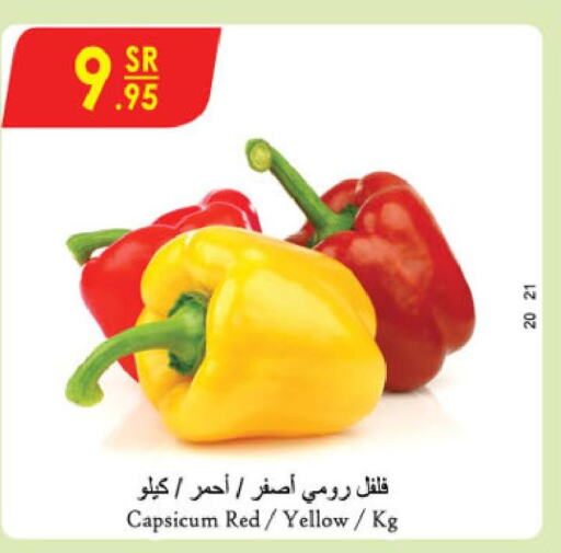  Chilli / Capsicum  in الدانوب in مملكة العربية السعودية, السعودية, سعودية - تبوك