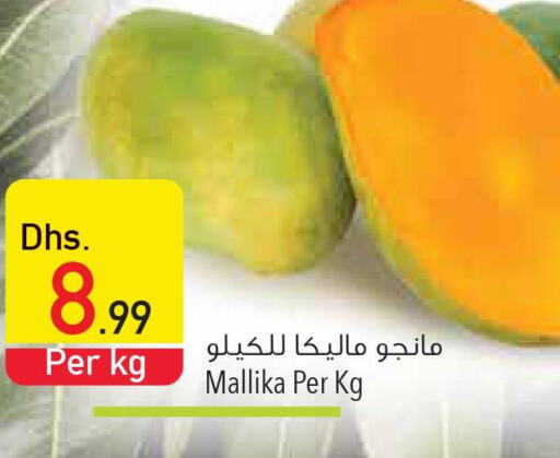 Mango   in السفير هايبر ماركت in الإمارات العربية المتحدة , الامارات - ٱلْعَيْن‎