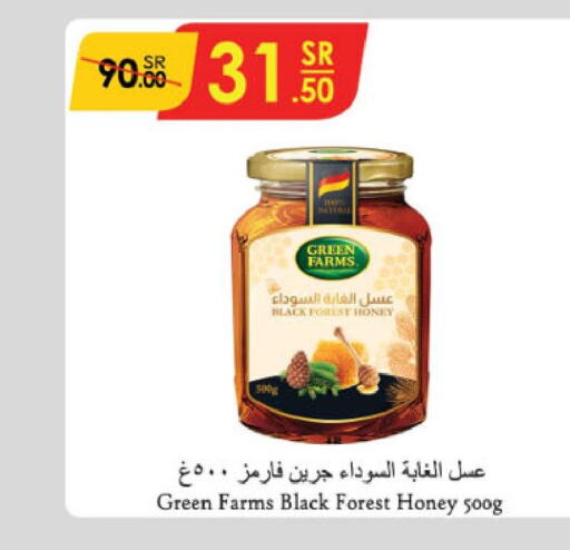  Honey  in الدانوب in مملكة العربية السعودية, السعودية, سعودية - تبوك