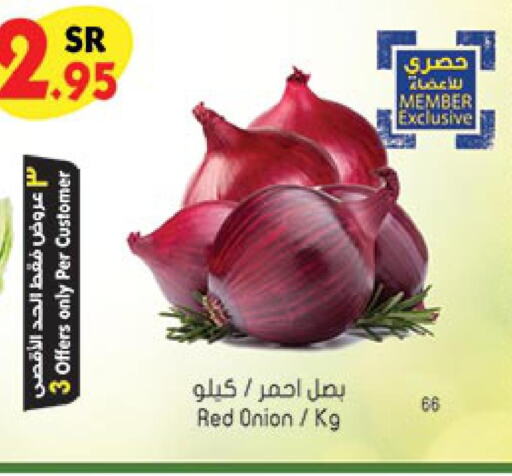  Onion  in بن داود in مملكة العربية السعودية, السعودية, سعودية - مكة المكرمة