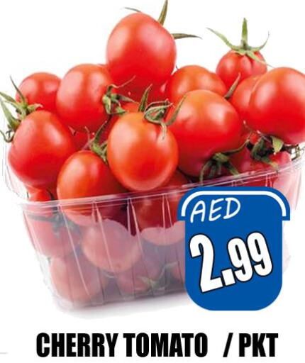  Tomato  in هايبرماركت مجستك بلس in الإمارات العربية المتحدة , الامارات - أبو ظبي
