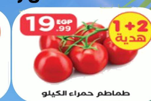  Tomato  in مارت فيل in Egypt - القاهرة