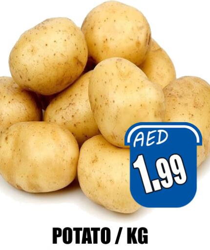  Potato  in هايبرماركت مجستك بلس in الإمارات العربية المتحدة , الامارات - أبو ظبي