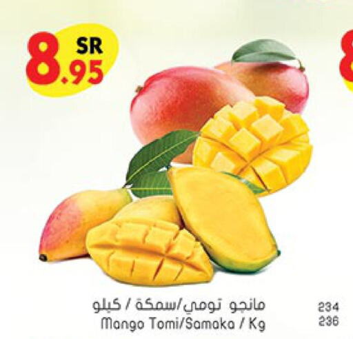  Pineapple  in Bin Dawood in KSA, Saudi Arabia, Saudi - Medina