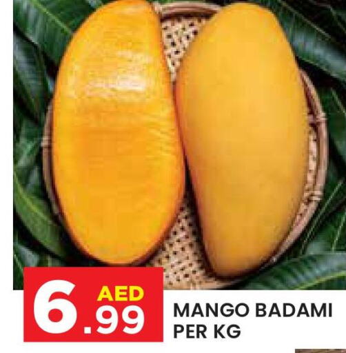 Mango   in سنابل بني ياس in الإمارات العربية المتحدة , الامارات - ٱلْعَيْن‎