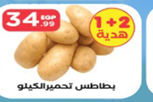  Potato  in مارت فيل in Egypt - القاهرة
