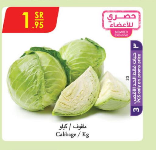  Cabbage  in الدانوب in مملكة العربية السعودية, السعودية, سعودية - الطائف