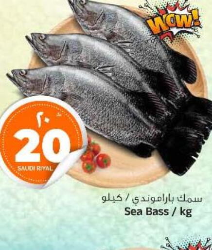  King Fish  in Al Madina Hypermarket in KSA, Saudi Arabia, Saudi - Riyadh