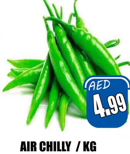  Chilli / Capsicum  in هايبرماركت مجستك بلس in الإمارات العربية المتحدة , الامارات - أبو ظبي