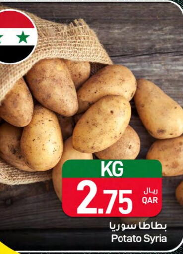  Potato  in ســبــار in قطر - الخور